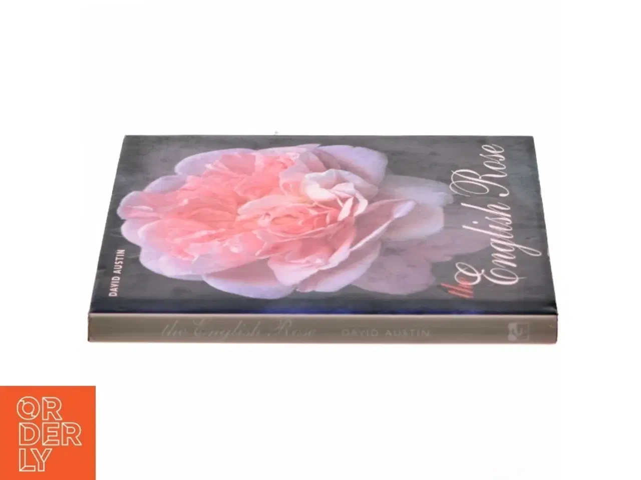 Billede 2 - The English rose af David Austin