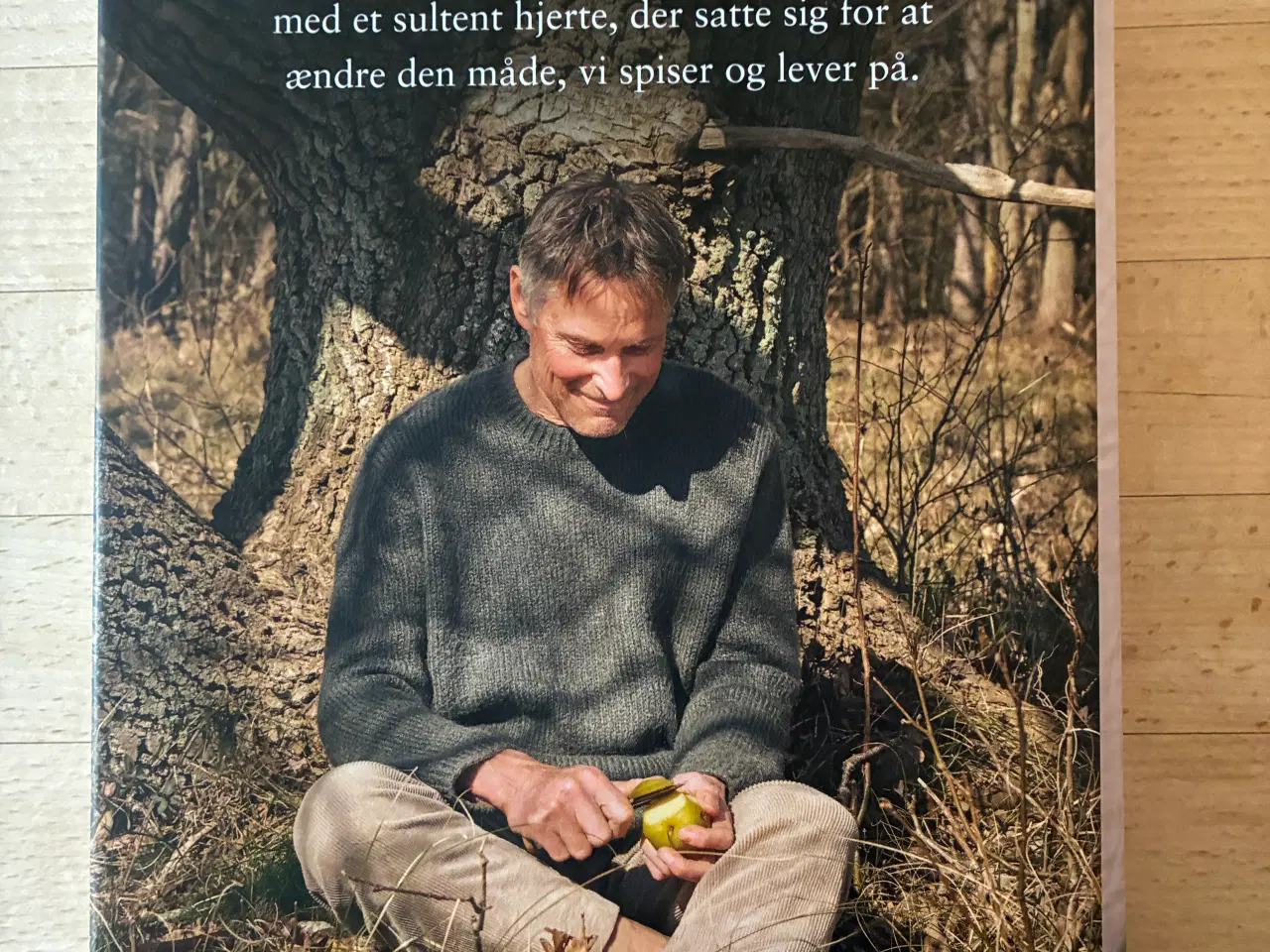 Billede 2 - Drømmer, Claus Meyer