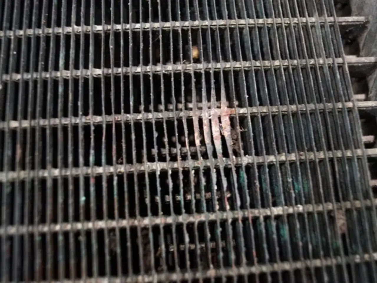 Billede 20 - New Holland G170 Køler 86013264