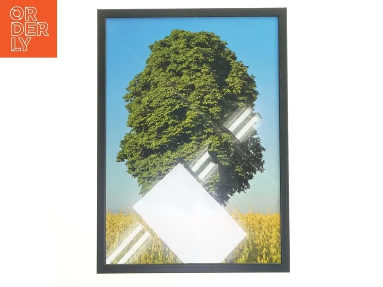 Billede 1 - Indrammet billede af et træ fra Posterland (str. 30x42 cm)