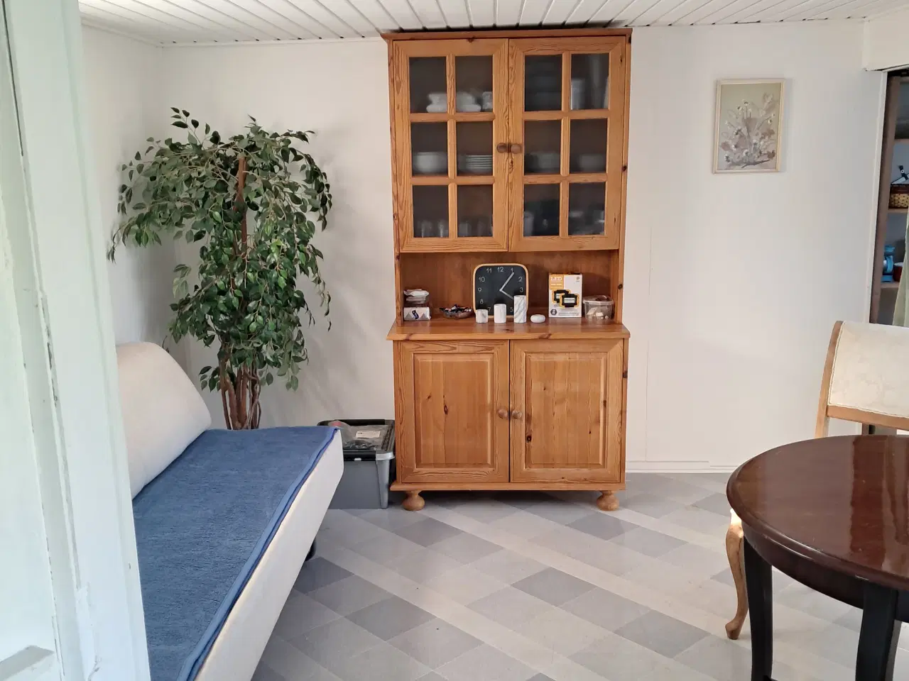 Billede 8 - Kolonihave I Vejle