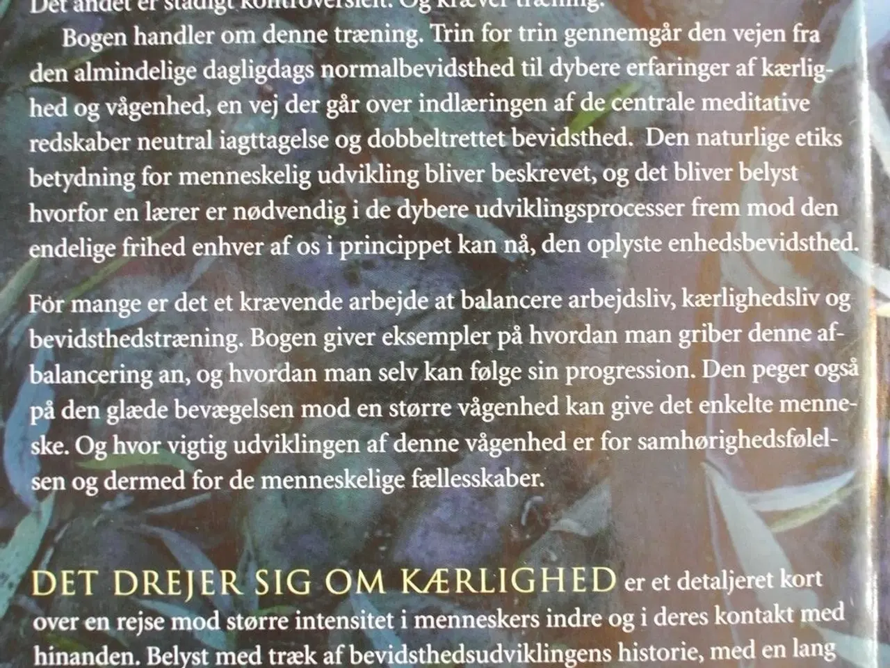 Billede 4 - det drejer sig om kærlighed, undervisning med jes 