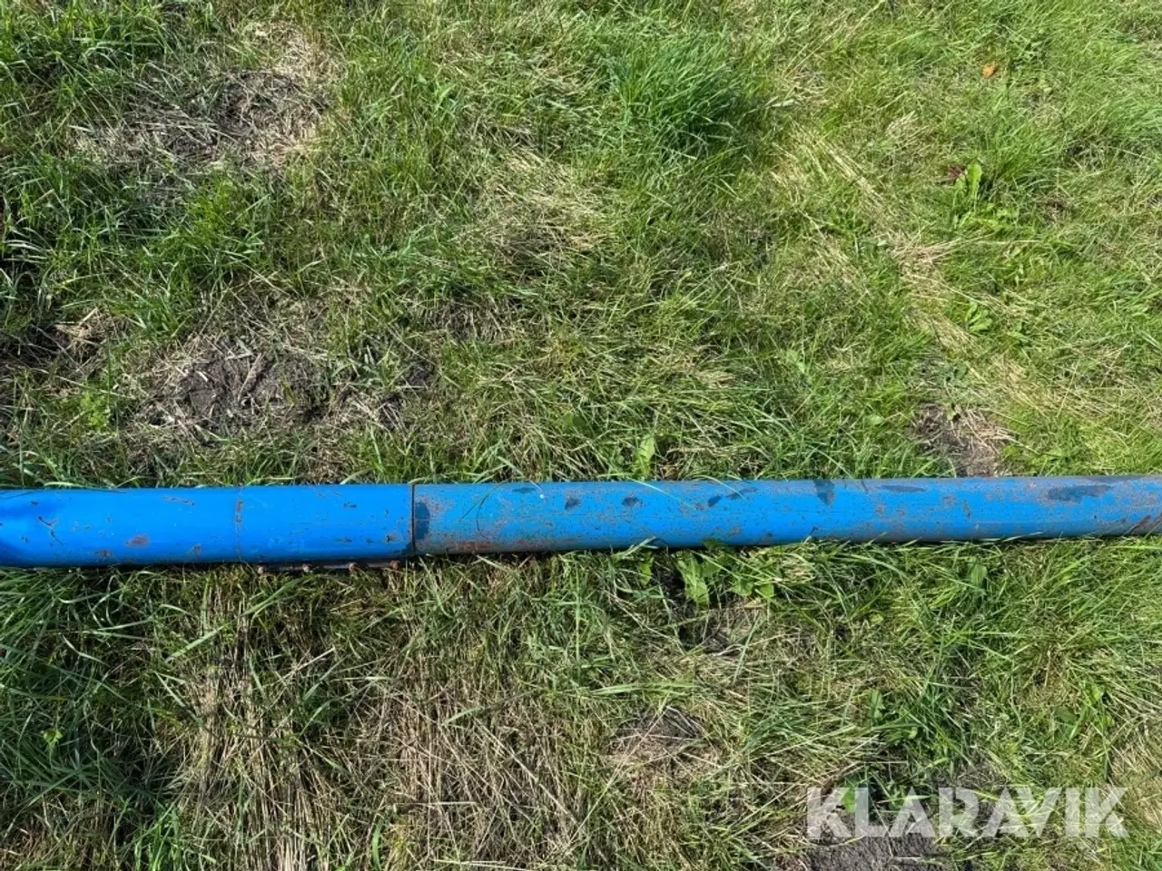 Billede 10 - Kornsnegl