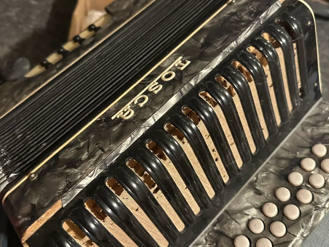 Billede 3 - Harmonika