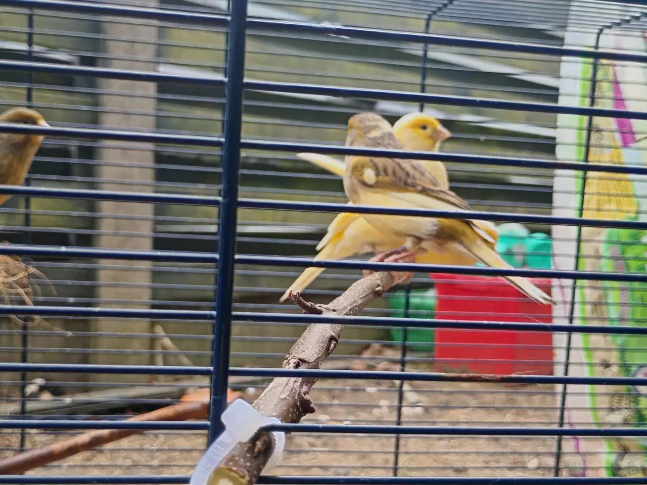 Billede 6 - Blandet farver/kobber