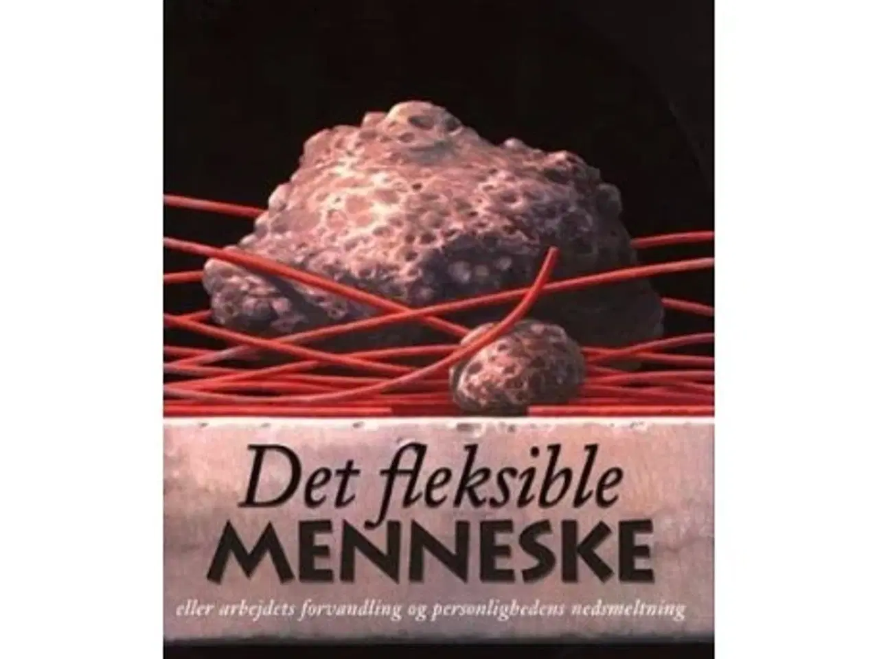 Billede 1 - "Det fleksible menneske" af Richard Sennett