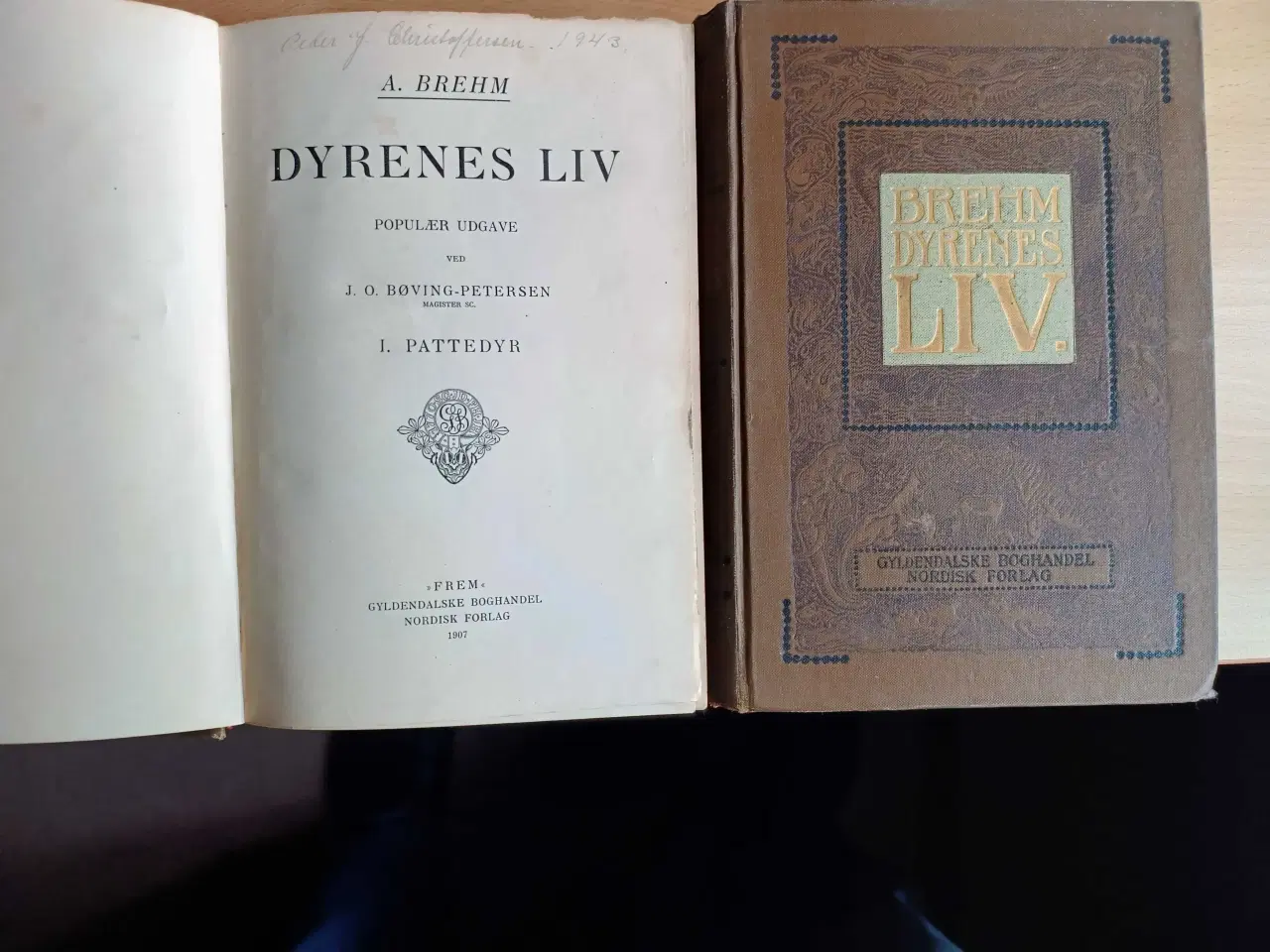 Billede 1 -  Dyrenes liv