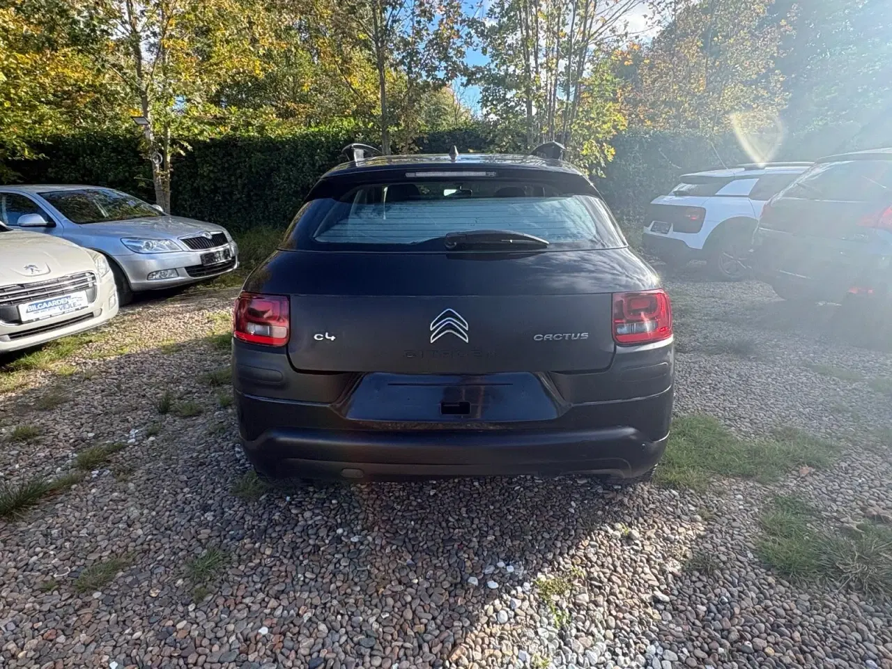 Billede 6 - Citroën C4 Cactus 1,6 e-HDi 92 Shine ETG6