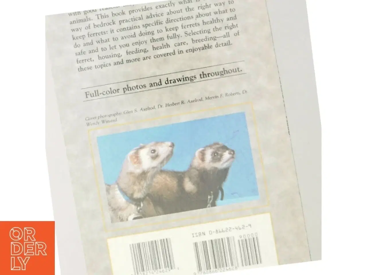 Billede 5 - A step-by-step book about ferrets (Bog)