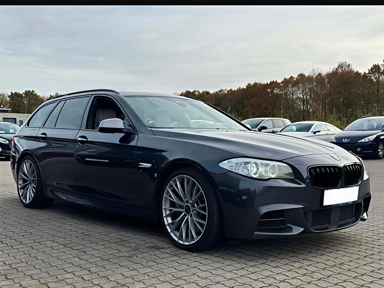 Billede 7 - Nysynet BMW M550d F11 xDrive 38HK