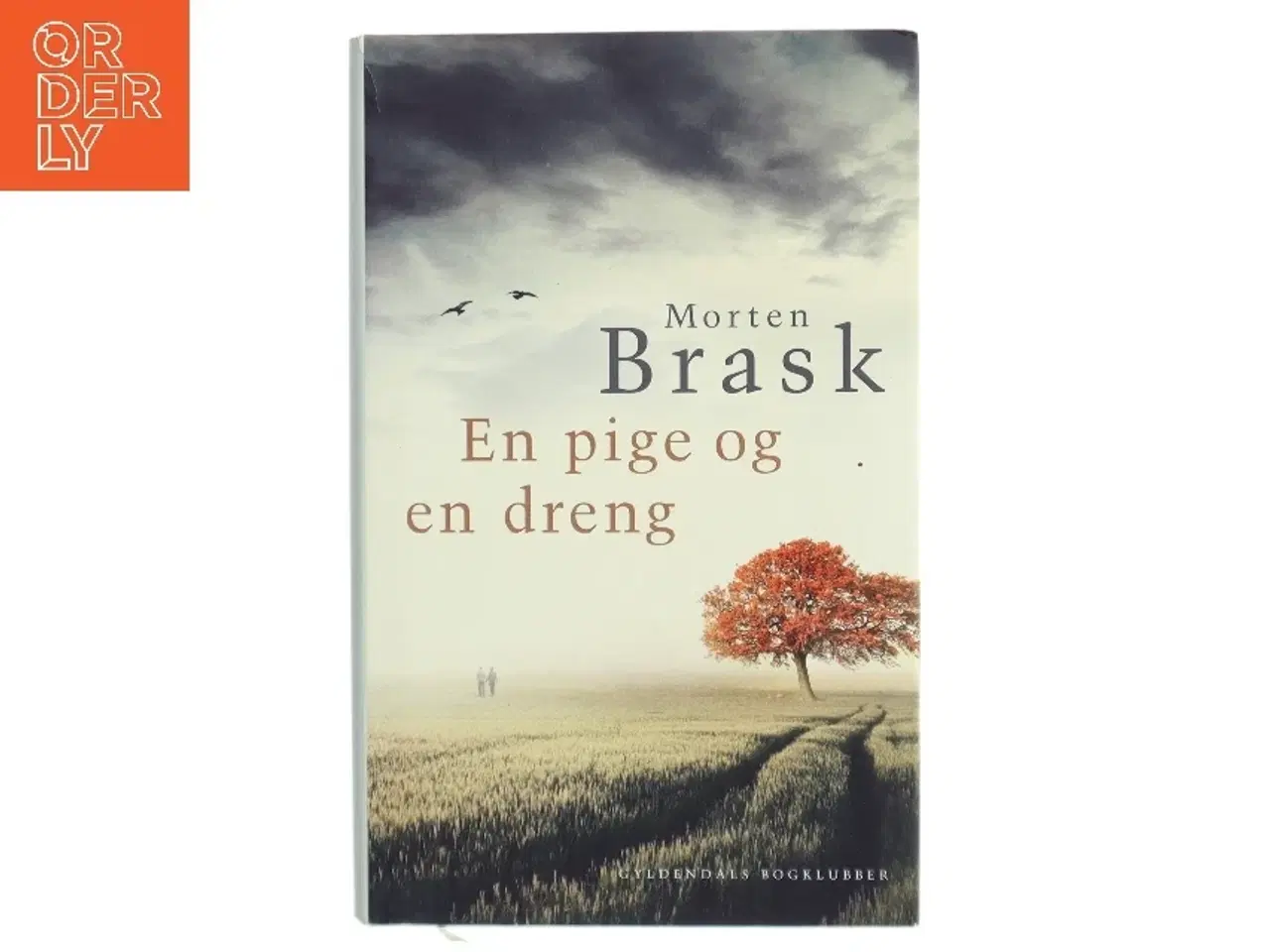 Billede 1 - En pige og en dreng af Morten Brask (Bog)