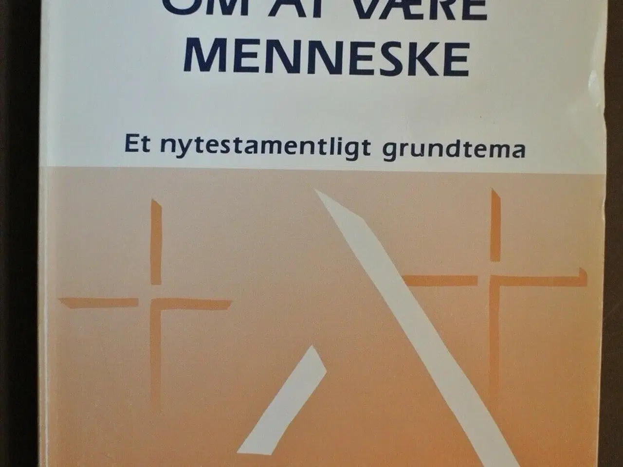 Billede 1 - om at være menneske - et nytestamentligt grundtema