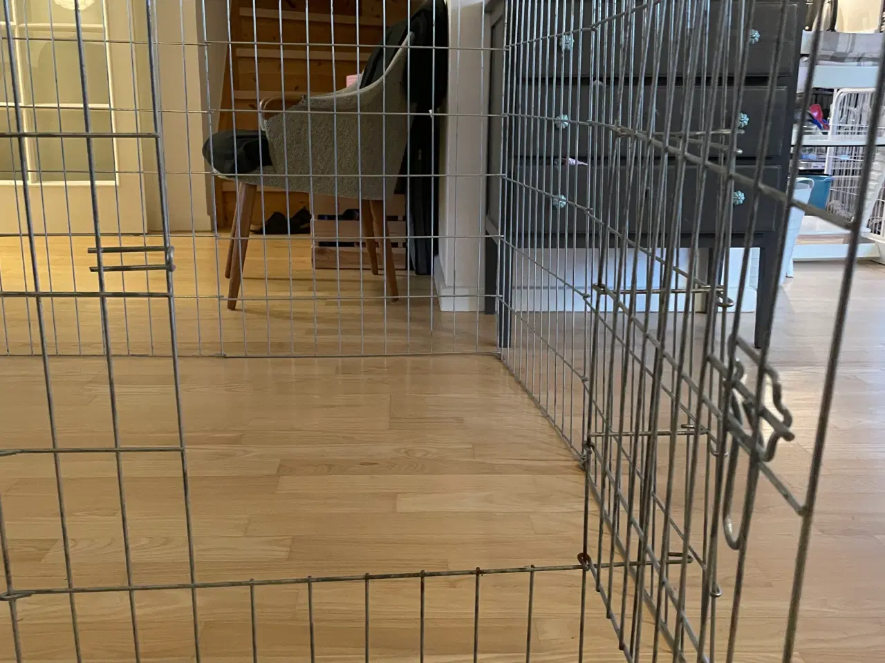 Billede 2 - Hvalpegård