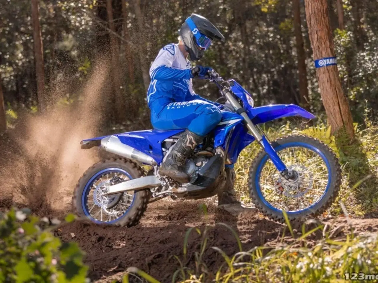 Billede 3 - Yamaha WR 450 F