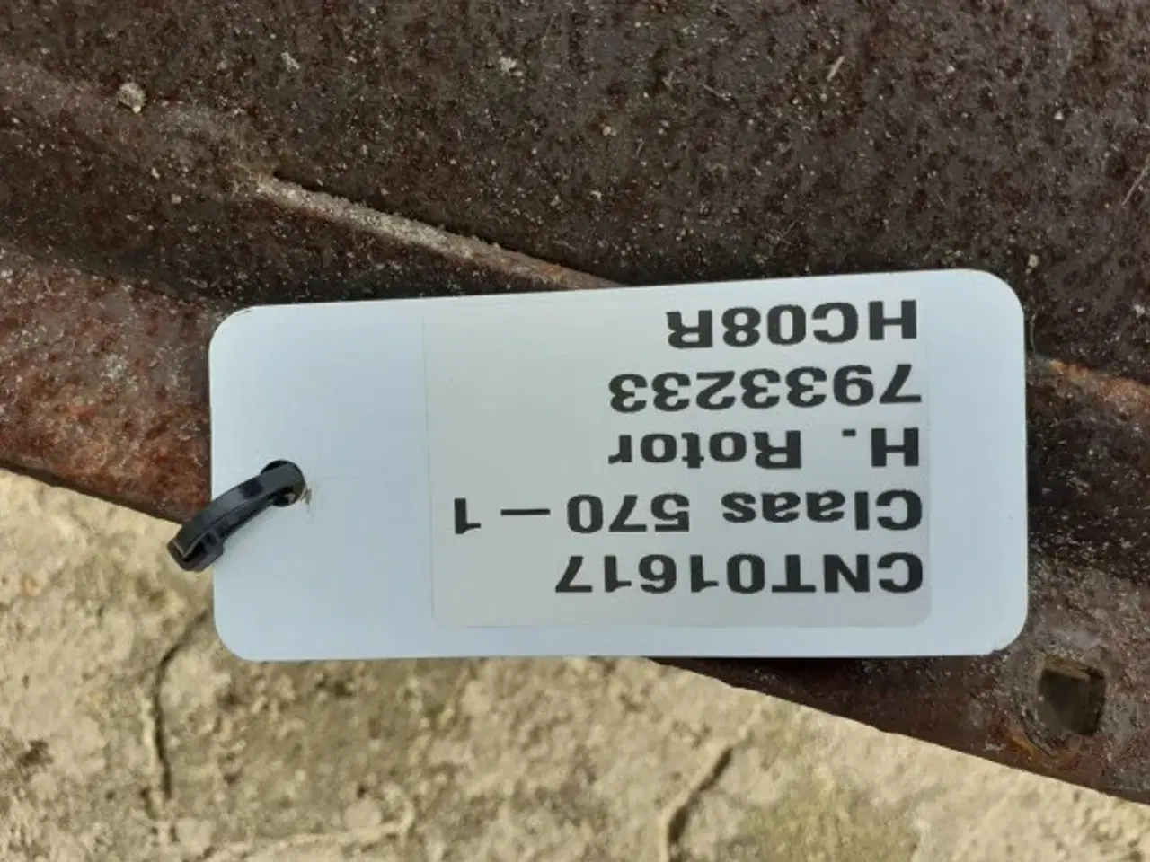 Billede 6 - Claas Lexion 570 R. Rotor 7933233