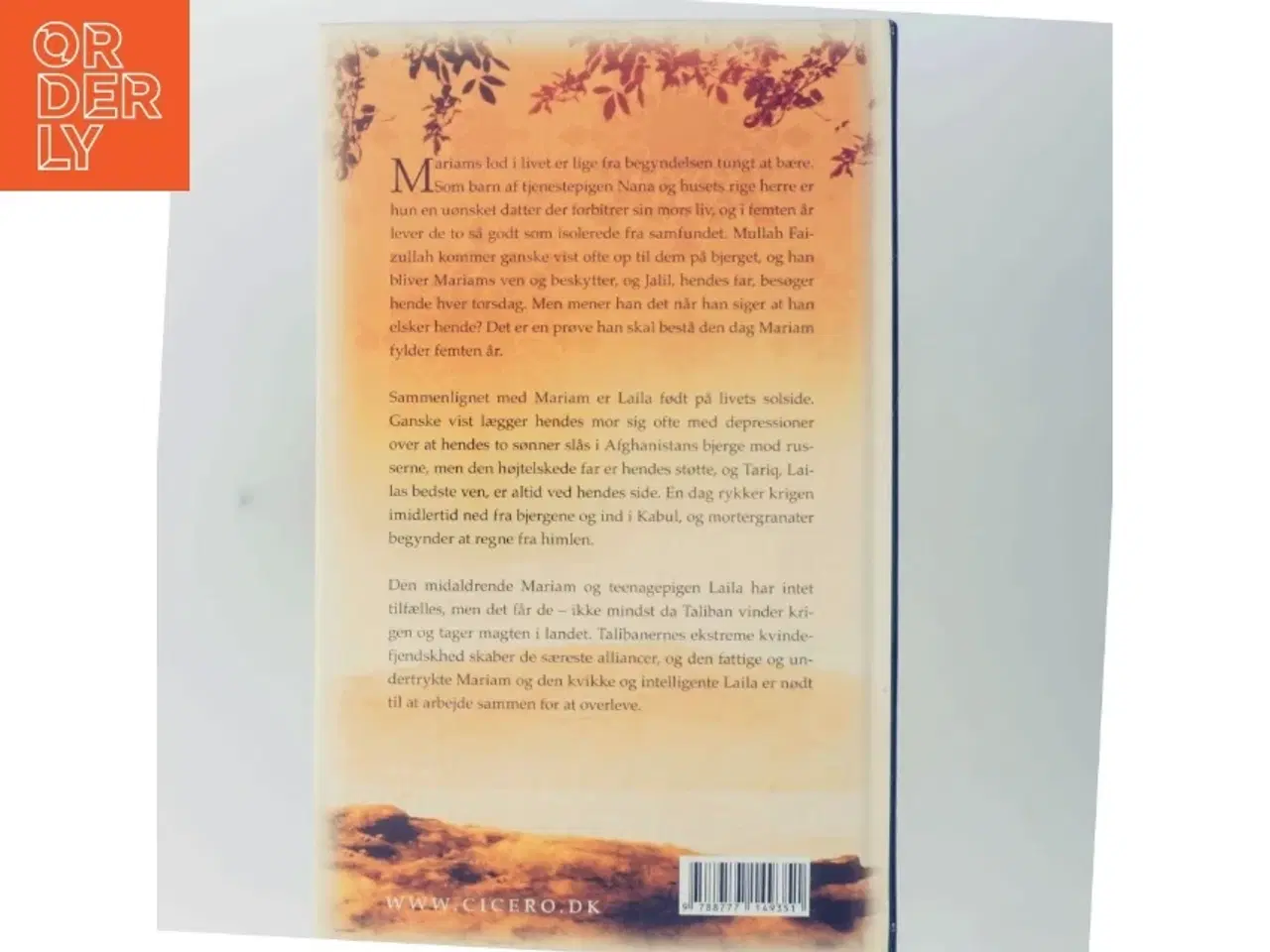 Billede 3 - Under en strålende sol af Khaled Hosseini (Bog)