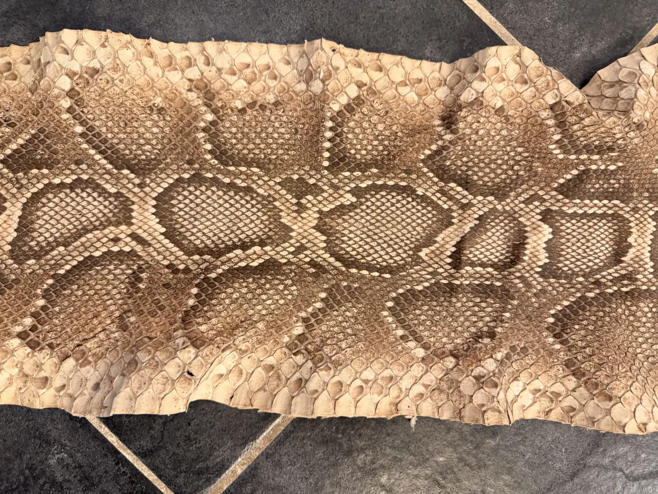 Billede 3 - Slangeskind “python”