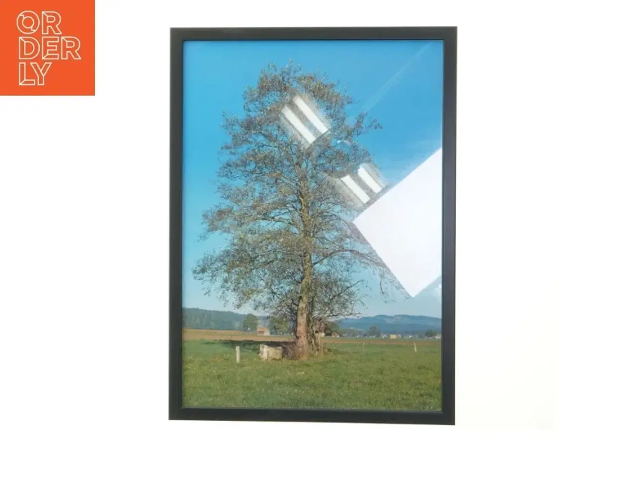 Billede 1 - Billede med ramme af træ (str. 30x42 cm)