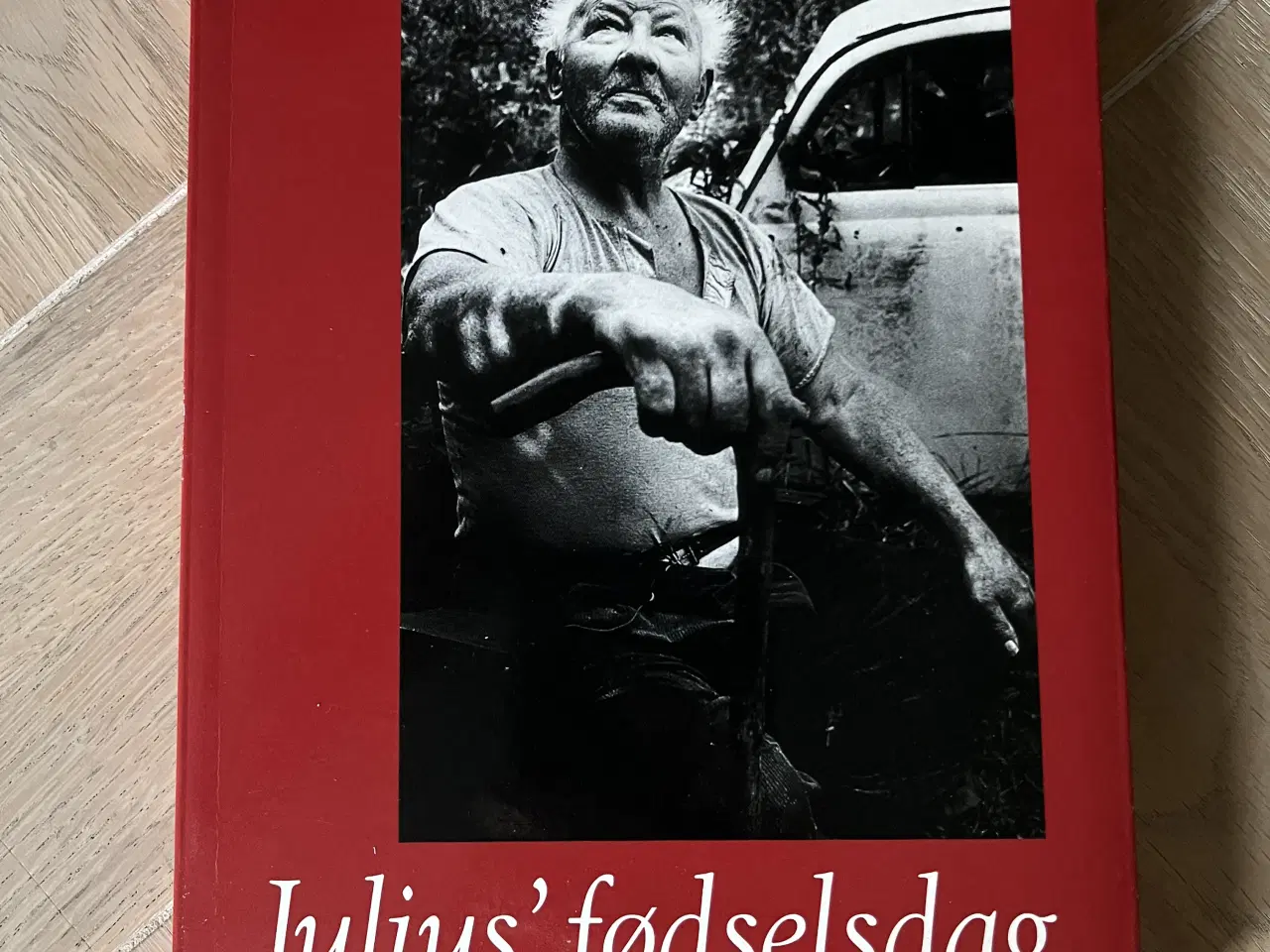 Billede 1 - Julius’ fødselsdag 