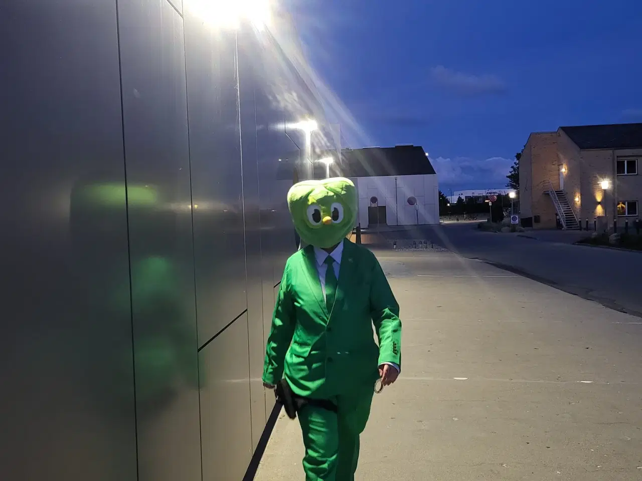Billede 3 - Duolingo håndlanger cosplay + plush