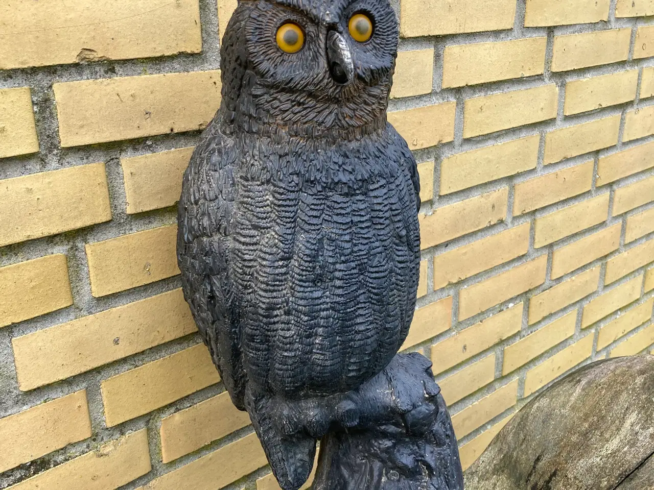 Billede 4 - Lokkeugle  skræmmeugle                   
