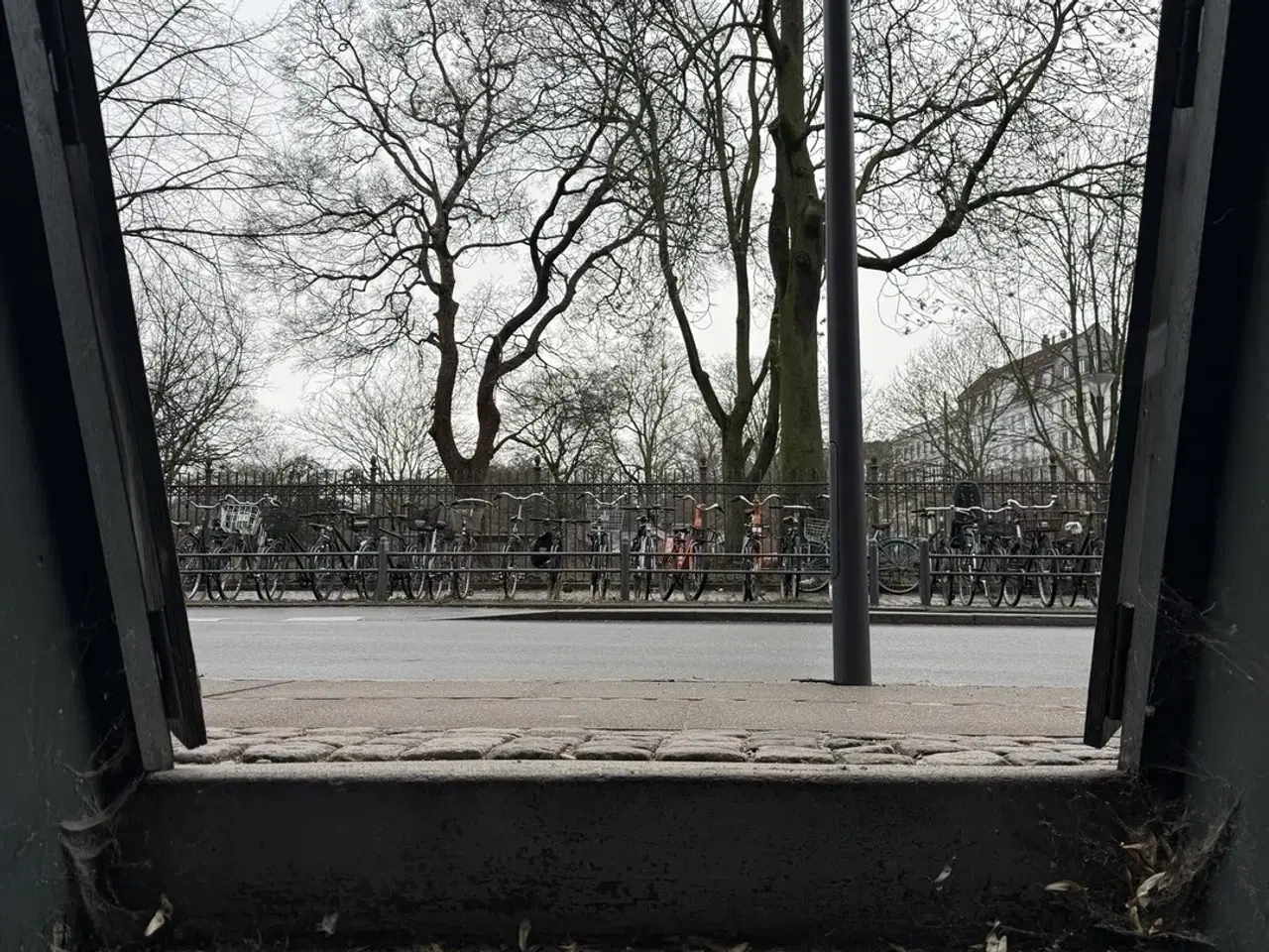 Billede 16 - Unikt kælderlejemål ved Israels Plads