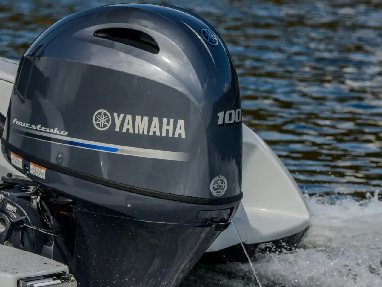 Billede 3 - Yamaha F100LB