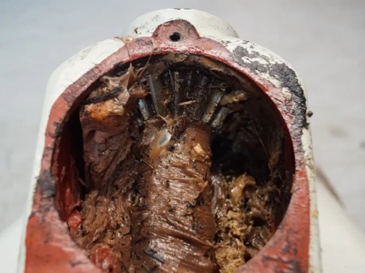 Billede 4 - Claas Dominator 108 Tømmerørs stykke