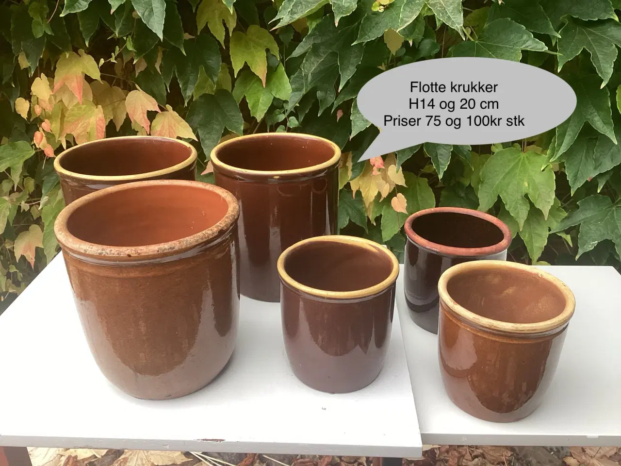 Billede 1 - Gamle glaseret sylte  krukker