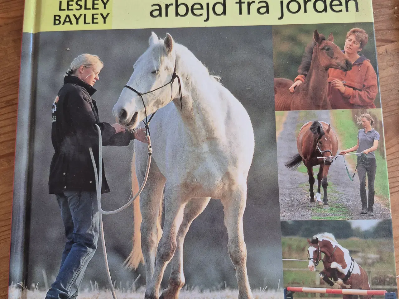 Billede 11 - Hestebøger mange forskellige