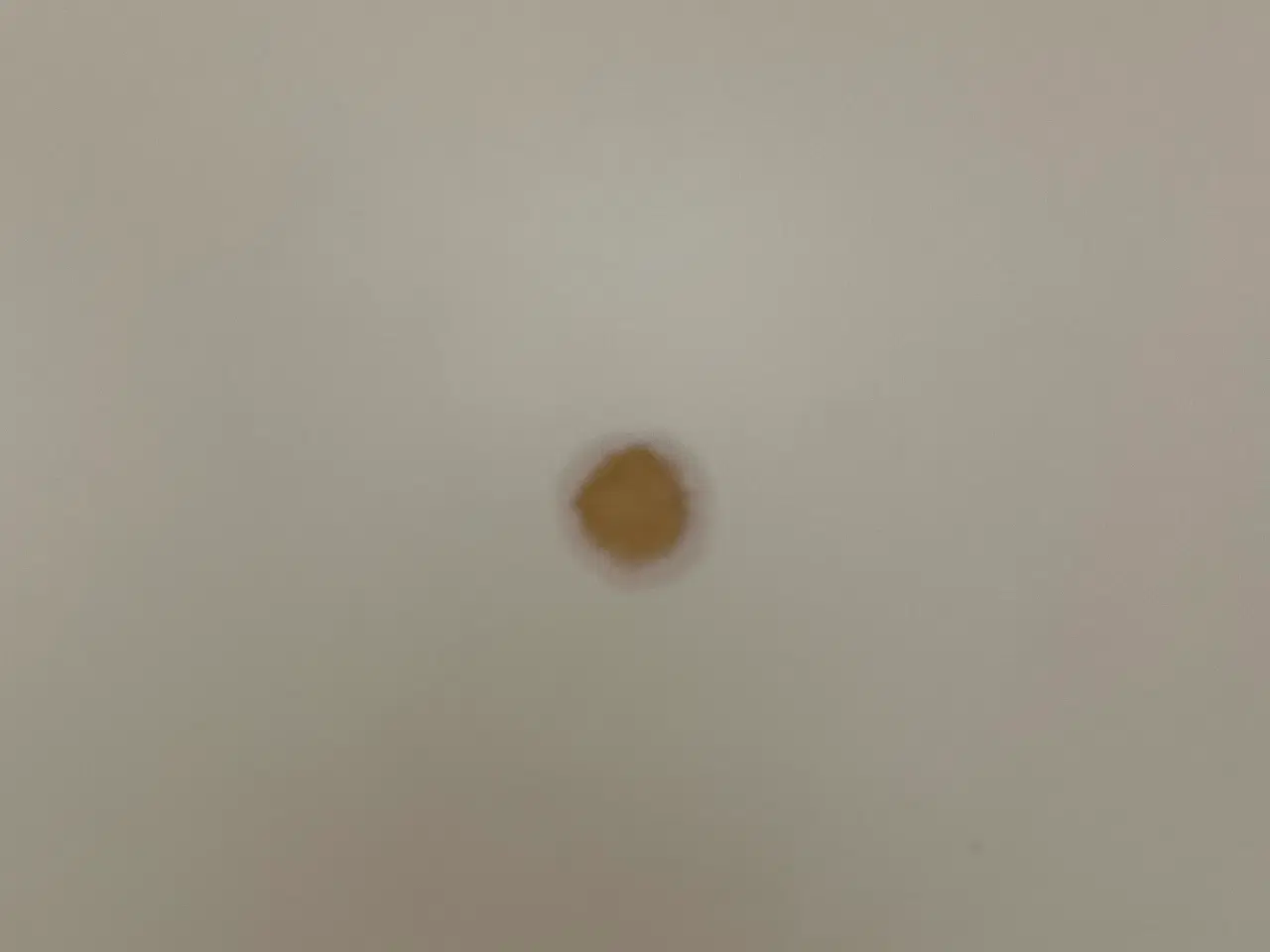 Billede 2 - Montana reol