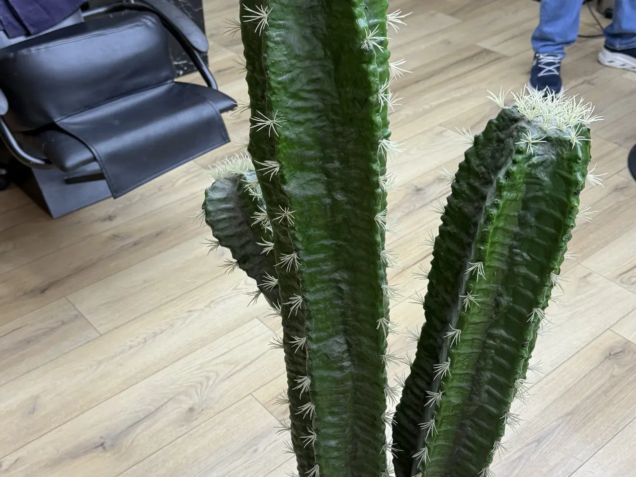 Billede 2 - Plastik Kaktus