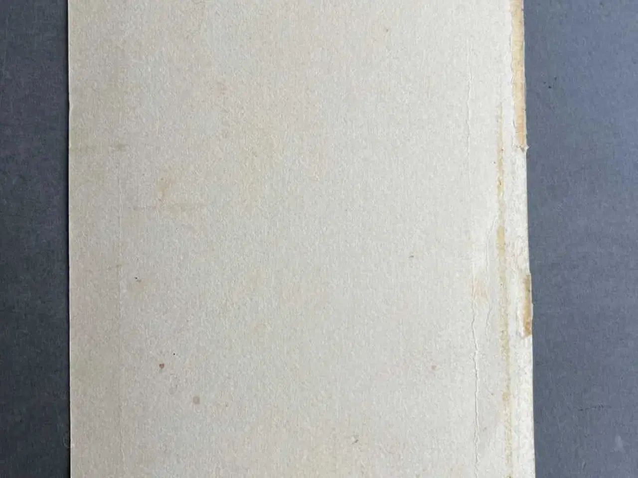 Billede 2 - WW2 - Foto af dansk politibetjent