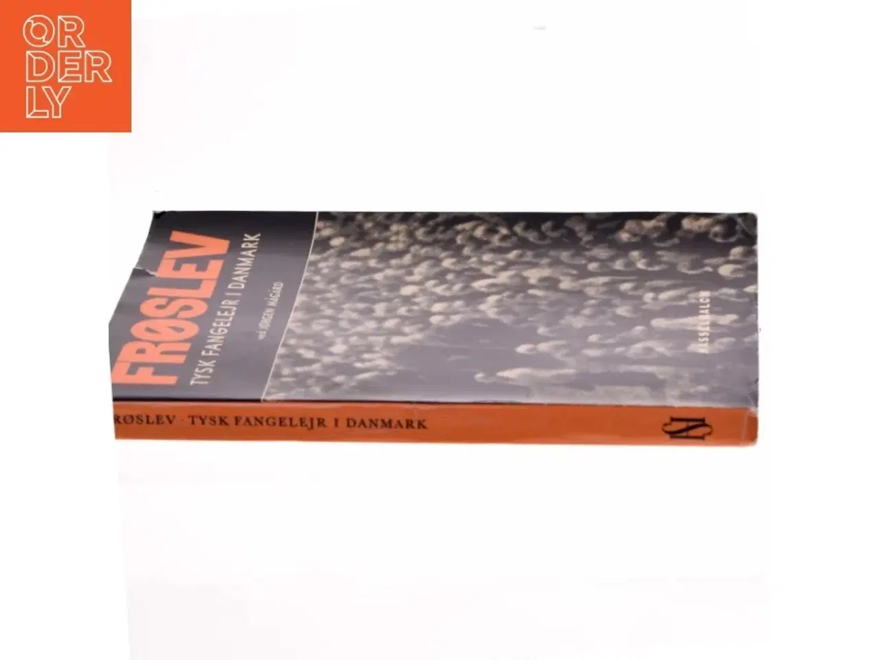 Billede 2 - Frøslev - Tysk fangelejr i Danmark