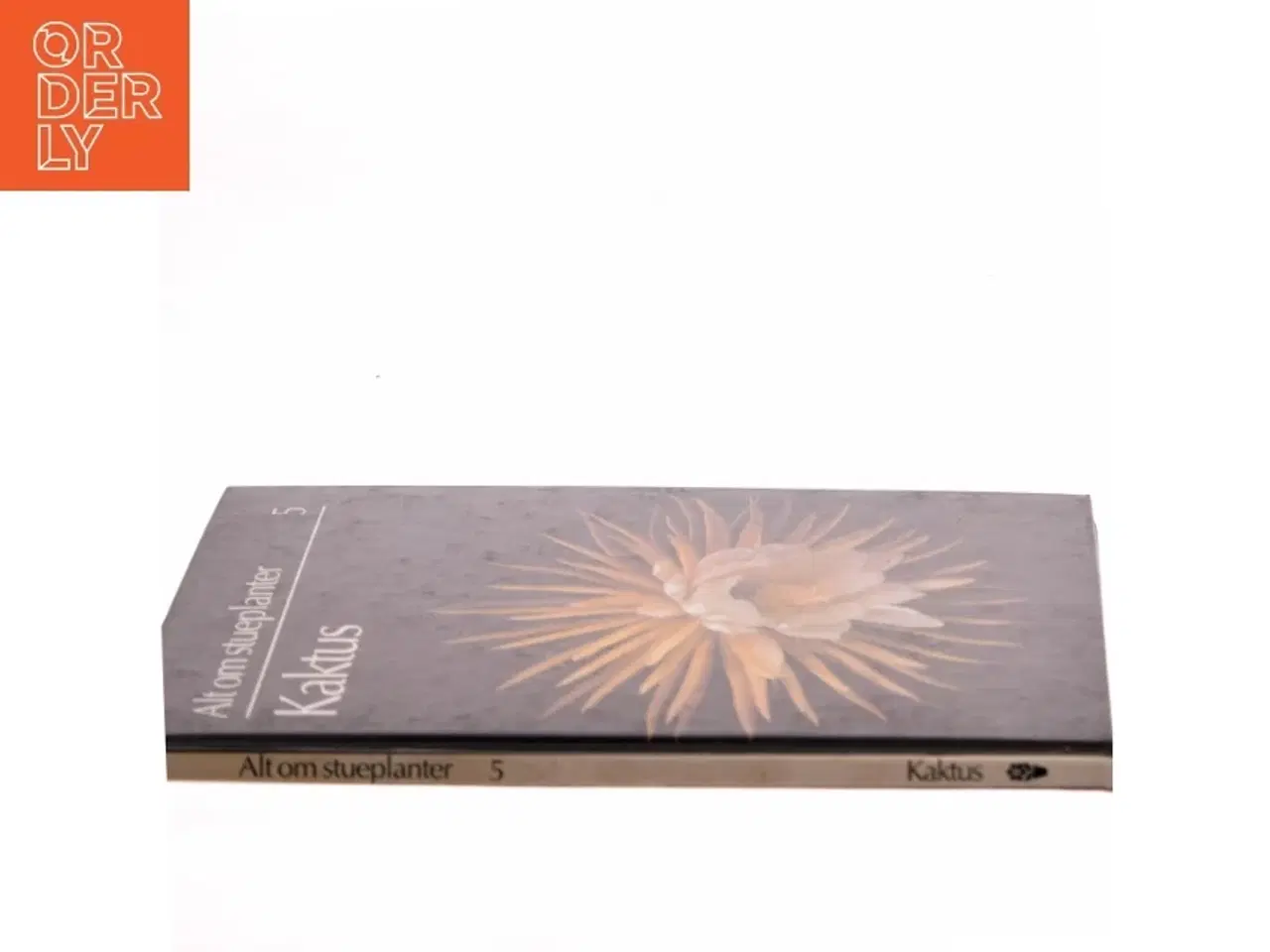 Billede 2 - Kaktus af Ukendt (Bog)