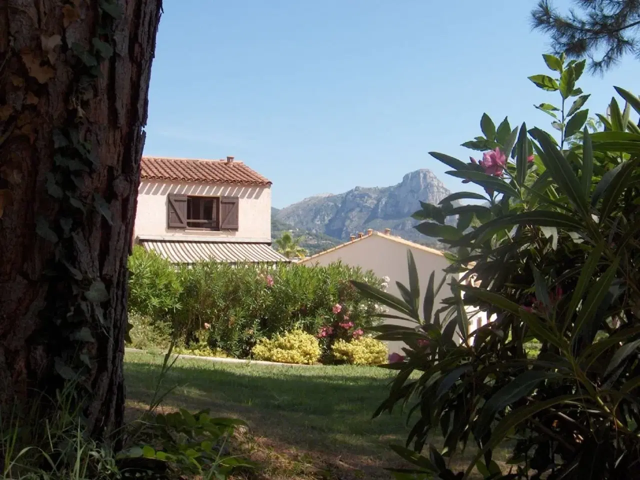 Billede 2 - Provence / Vence - hus med pool. Tæt ved Nice / Cannes