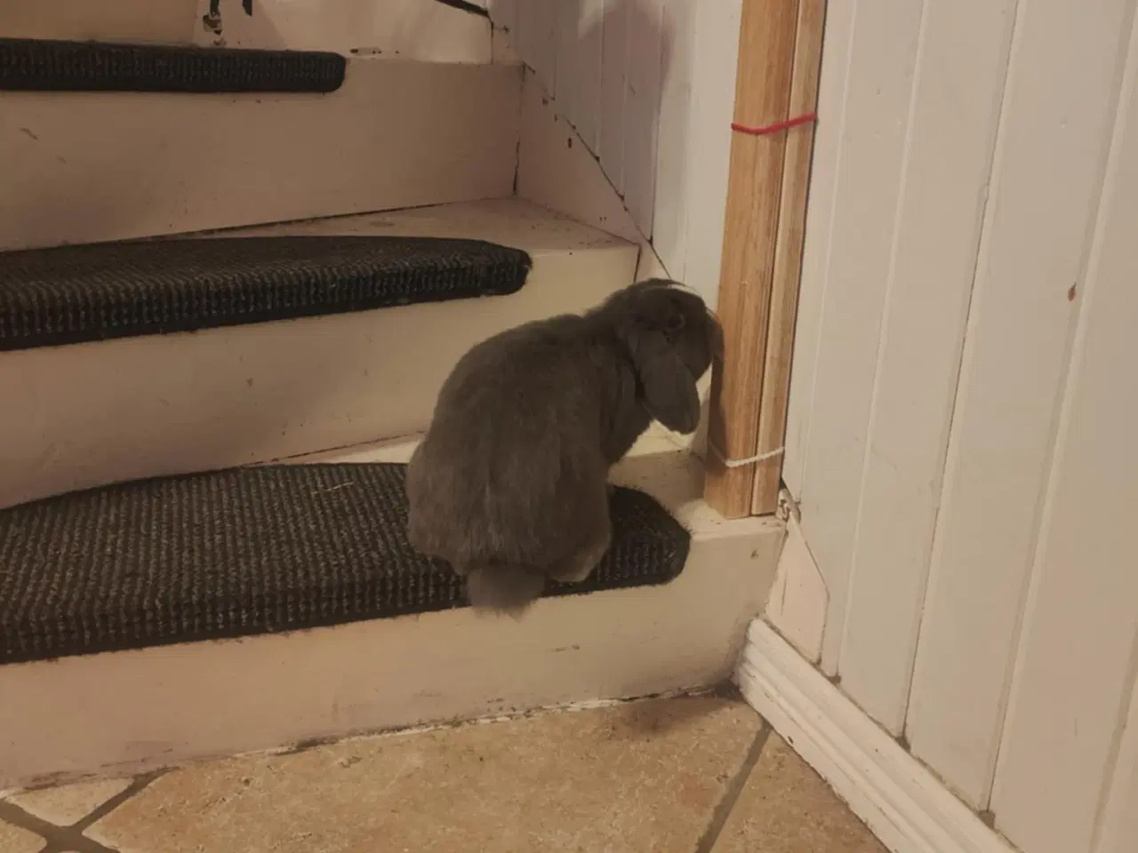 Billede 7 - MiniLoop super tam (haster!)