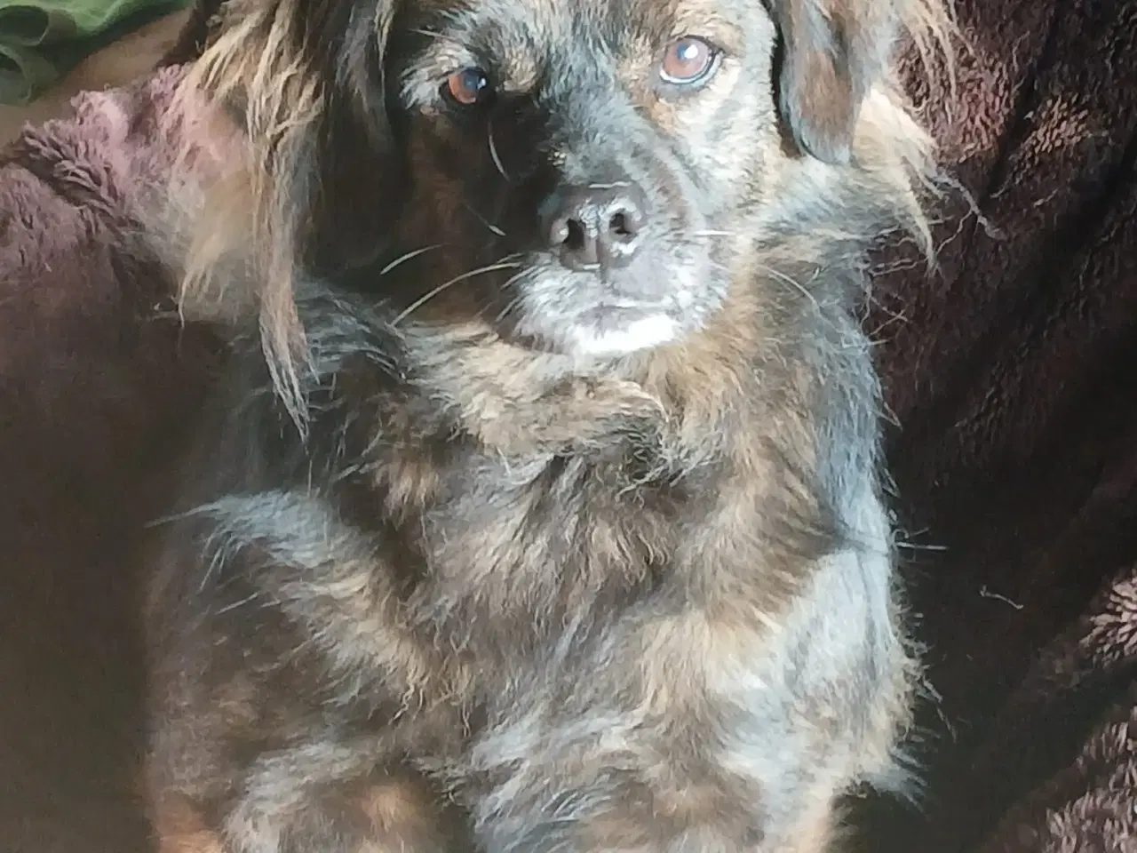 Billede 10 - Livsglade Joy 🩷