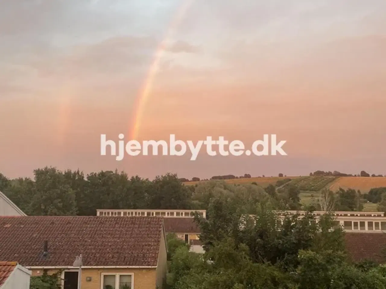 Billede 6 - Hjembytte - Dalskrænten