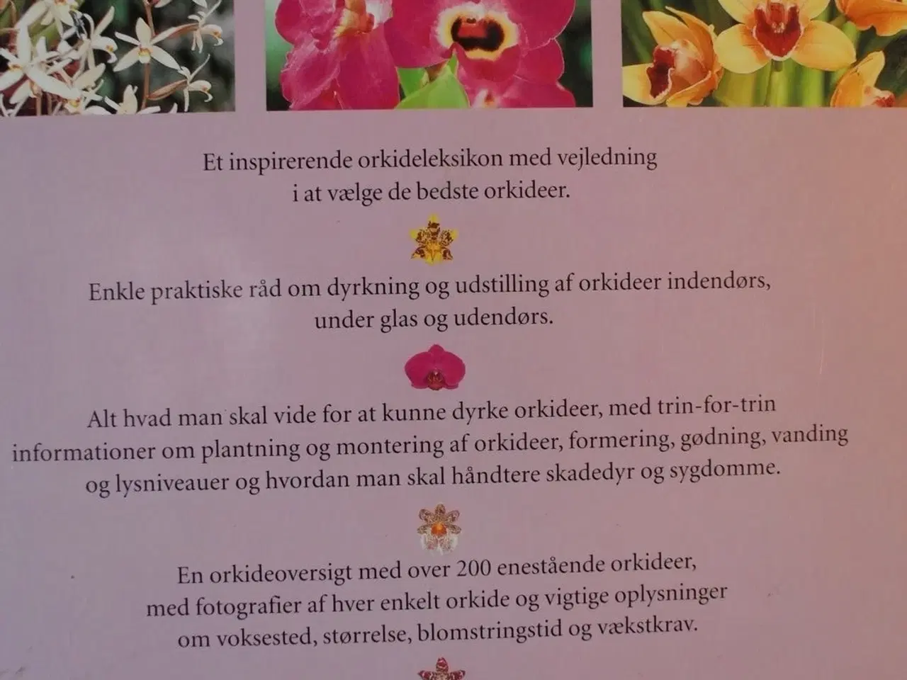 Billede 3 - aschehougs store bog om orkideer - den komplette g