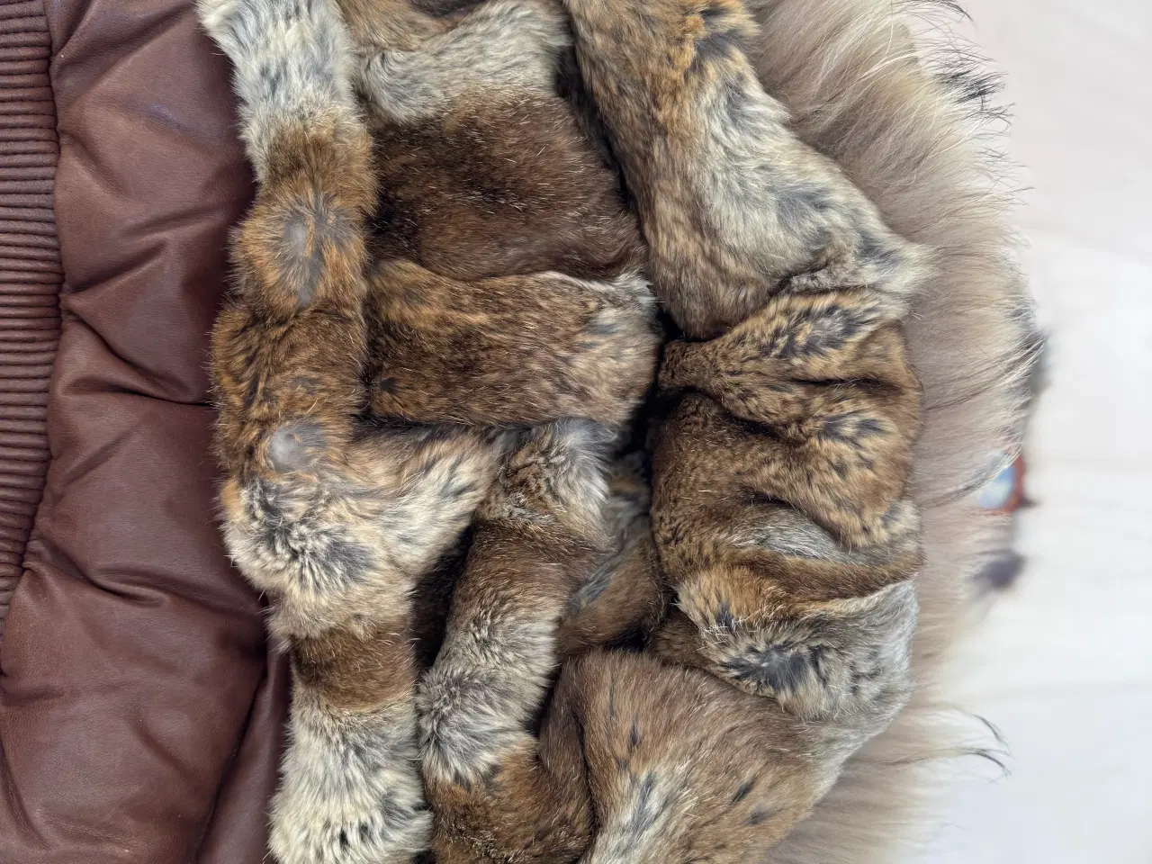 Billede 6 - Parajumpers lædervest med pelshætte