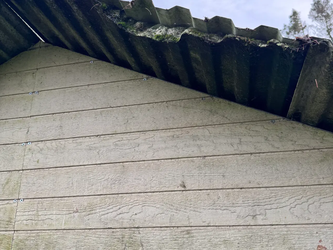 Billede 9 - Hesteskur