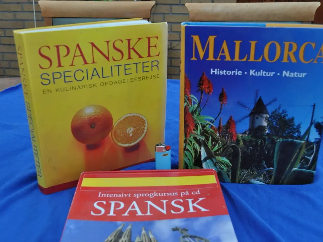 Billede 1 - SPANSK mad sprog Mallorca 1000 sider + 2 mere