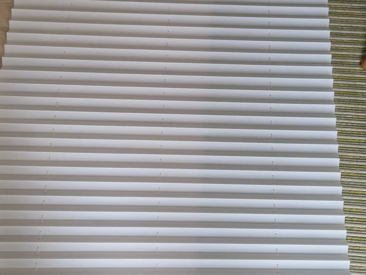 Billede 1 - Højt plisse gardin