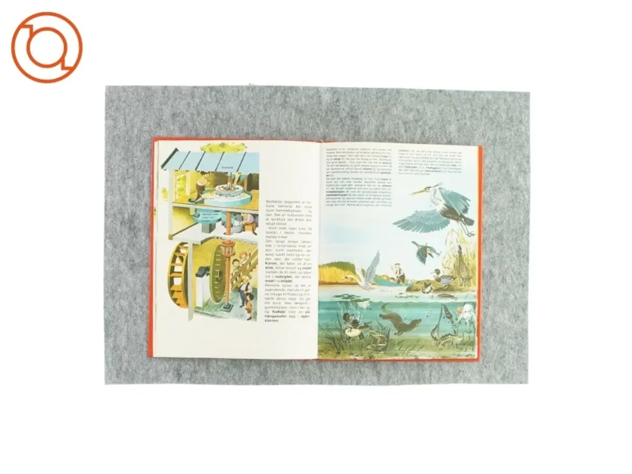 Billede 2 - Hvad kan man opleve på floden? (bog)