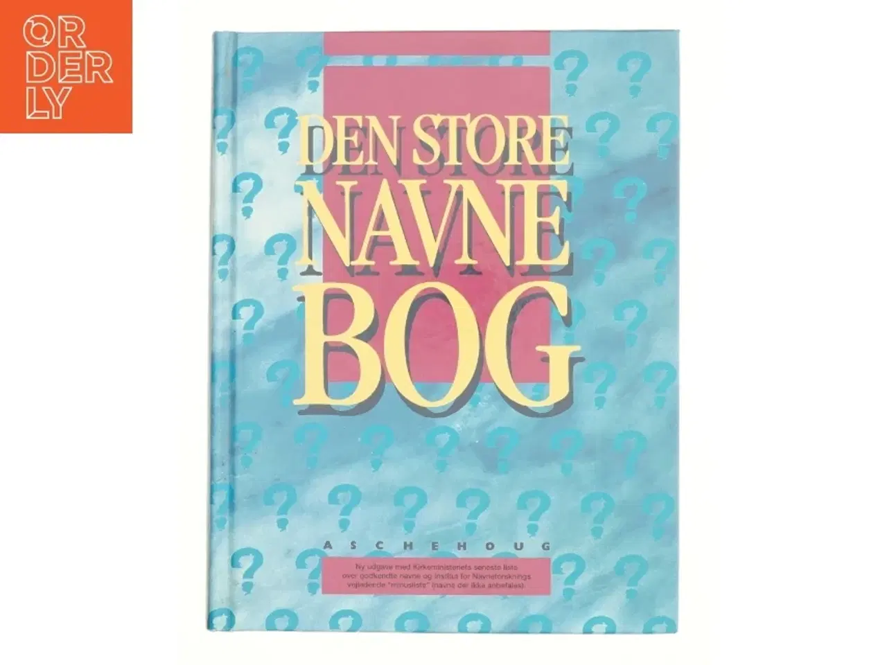 Billede 1 - På skyggesiden : beretningen om en hjerneblødning af Anne Lützhft (Bog)