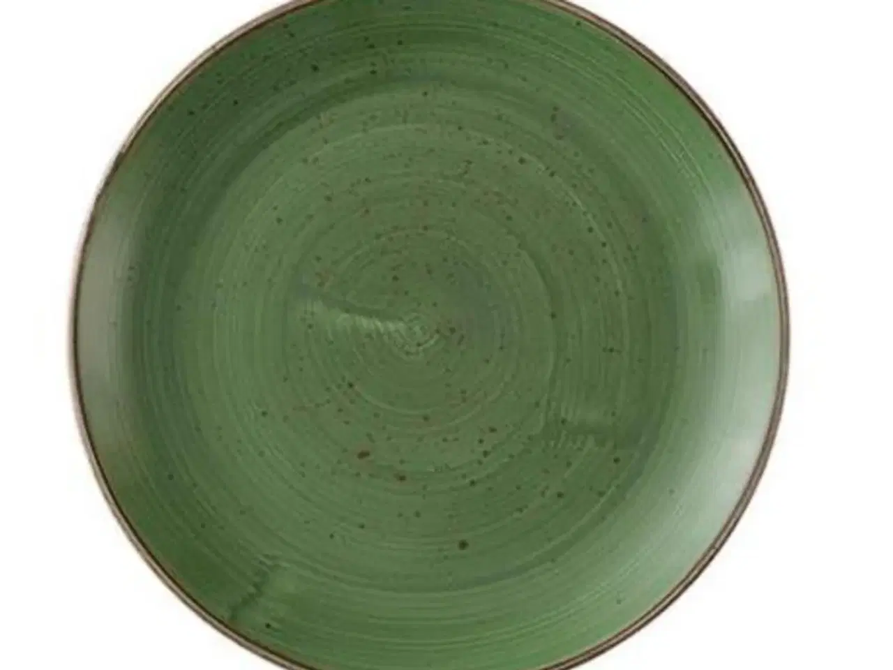 Billede 1 - 13 stk. Tallerken coupe mørkegrøn 260 mm Stonecast Churchill (Brugt)