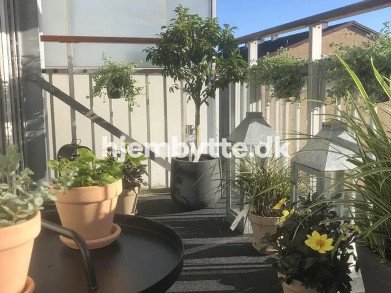 Billede 4 - Hjembytte - Kobbervej