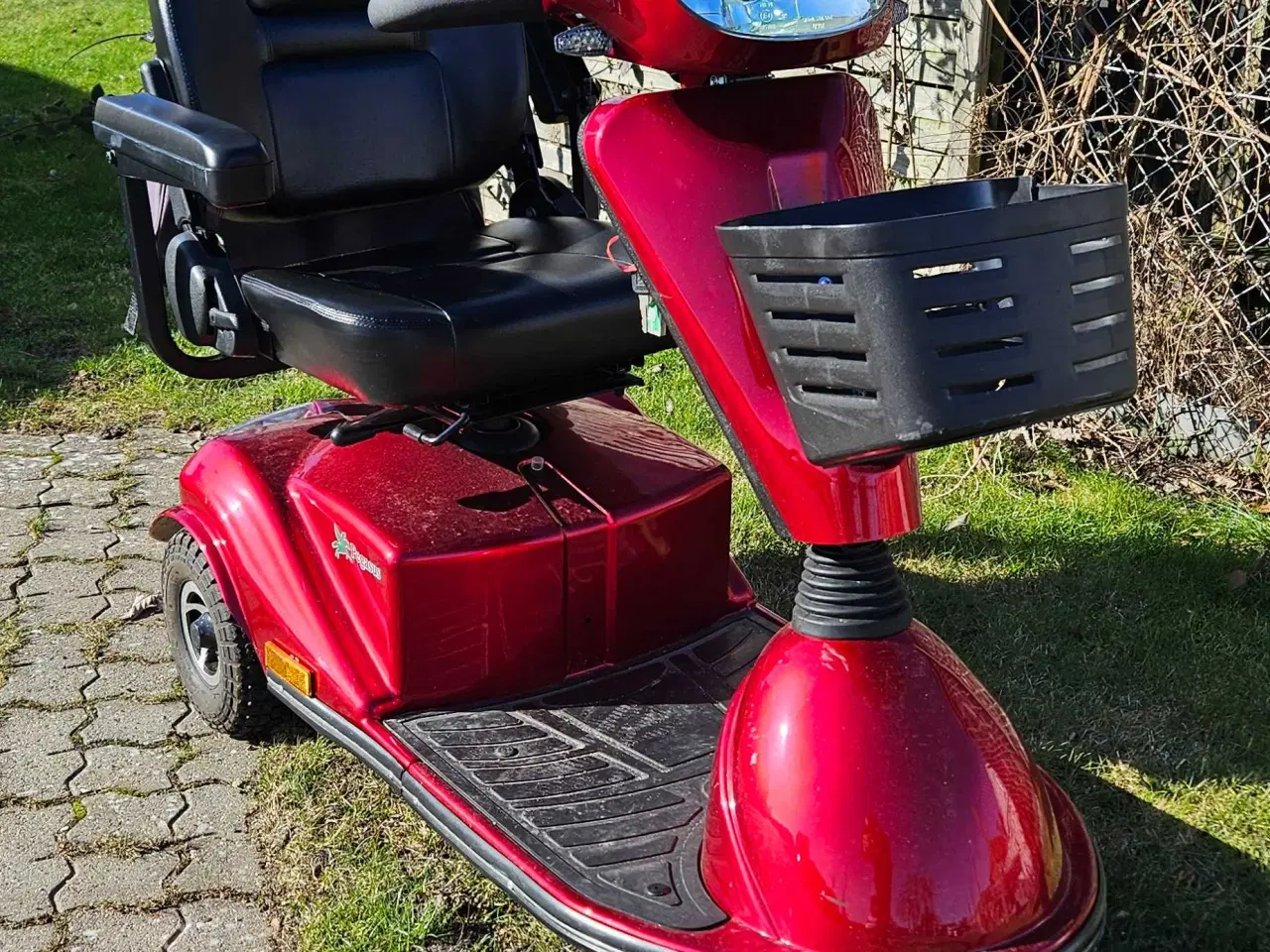 Billede 1 - Pegasus lærken 3