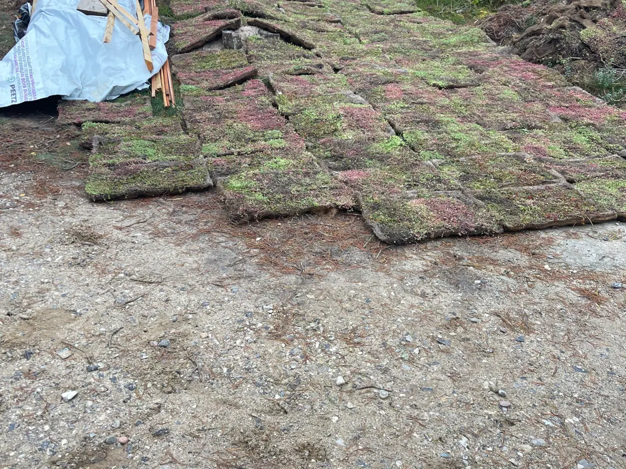 Billede 1 - Sedumtag ecoflora fra growtek